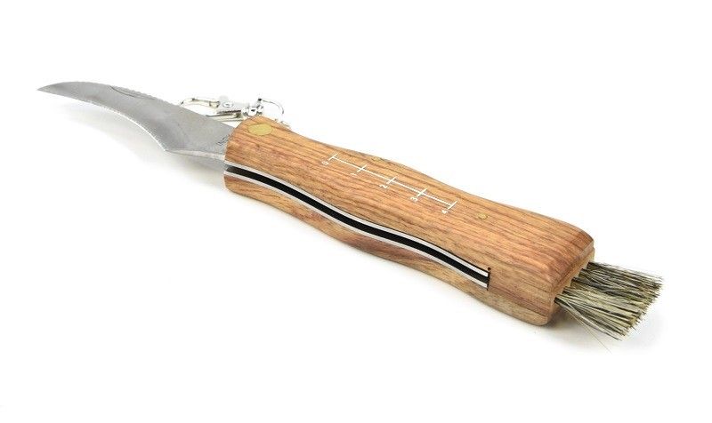 Sklep-wiklinowy | Nóż składany na grzyby z miotełką