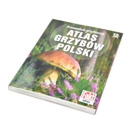 Sklep-wiklinowy | Atlas grzybów Polski
