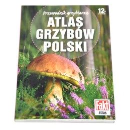 Sklep-wiklinowy | Atlas grzybów Polski